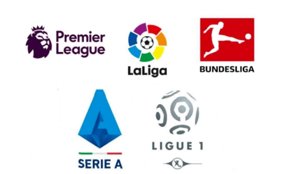 显然会感到 显然会感到